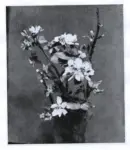 Fantin-Latour, Henri , Vaso con fiori