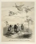 Grandville , Ballo di coleotteri con angeli