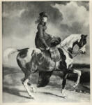 Géricault, Théodore , Amazona