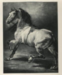 Géricault, Théodore , Cavallo