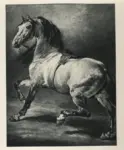G&eacute;ricault, Th&eacute;odore , Cavallo