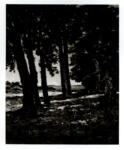 Harpignies, Henri-Joseph , A la lisière d'un bois