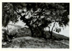 Harpignies, Henri-Joseph , Paysage sur la côte