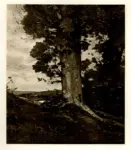 Harpignies, Henri-Joseph , Studio di albero