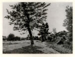 Harpignies, Henri-Joseph , Après-midi d'été