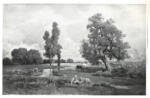 Jacque, Charles , Sheep grazing