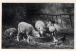 Anonimo , Jacque, Charles - sec. XIX - Schafe im Stall
