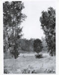 Lepine, Stanislas , Paysage -