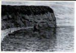 Loiseau, Gustave , Saules, au bord de L'Oise