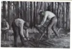 Luce, Maximilien , Les bucherons