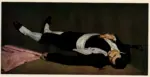 Manet, Edouard , Torero morto