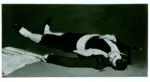 Manet, Edouard , The dead toreador