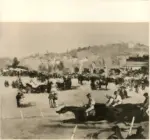 Manet, Edouard , Courses au Beri