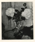 Manet, Edouard , - due rose in un vaso