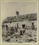 Millet, Jean Francois , Donna nell'orto