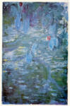 Wildenstein , Monet, Claude - sec. XIX - Nymphéas