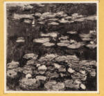 Monet, Claude , Nynpheas