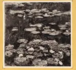 Anonimo , Monet, Claude - sec. XIX - Nynpheas