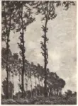 Monet, Claude , Les peupliers, effet de vent