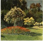 Anonimo , Monet, Claude - sec. XIX - Dame au giardin (particolare)