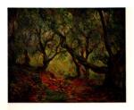 Monet, Claude , Bois d'oliviers