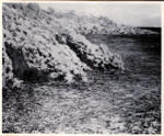 Anonimo , Monet, Claude - sec. XIX - Rochers sur la Mèditerranée