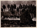 Monet, Claude , Covone presso Giverny