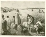 Anonimo , Pissarro, Camille - sec. XIX - Ernte