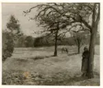 Anonimo , Pissarro, Camille - sec. XIX - Donna in piedi sotto l'albero