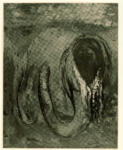 Redon, Odilon , Christ and the Serpent -