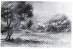 Renoir, Pierre Auguste , Paesaggio provenzale con olivi