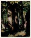 Renoir, Auguste , Nella foresta di Fontainebleau -
