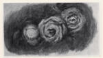 Renoir, Auguste , Tre rose - , Tre rose -