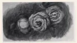 Renoir, Pierre Auguste , Tre rose, Tre rose -