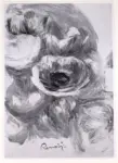 Renoir, Pierre Auguste , Studi d'anemoni