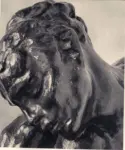 Anonimo , Rodin, Auguste