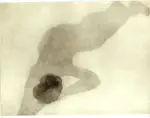 Rodin, Auguste , Nudo disteso