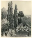 Rousseau, Henri , Giardino con alberi