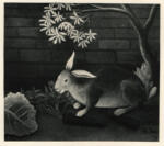 Rousseau, Henri , - Coniglio che mangia una carota