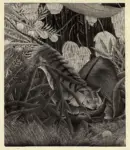 Rousseau, Henri , Tigre che attacca un bufalo