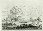 Rousseau, Théodore , Paesaggio campestre
