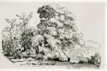 Rousseau, Th&eacute;odore , Paesaggio con albero