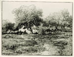 Rousseau, Théodore , - Paesaggio boscoso