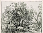 Rousseau, Théodore , Paesaggio boscoso
