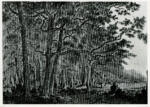 Rousseau, Théodore , Paesaggio con alberi