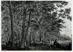 Rousseau, Th&eacute;odore , Paesaggio con alberi