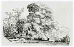 Rousseau, Théodore , Paesaggio con alberi