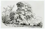 Rousseau, Th&eacute;odore , Paesaggio con alberi