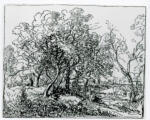 Rousseau, Théodore , - Passeggiata a cavallo tra i boschi