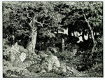 Rousseau, Théodore , - Il bosco